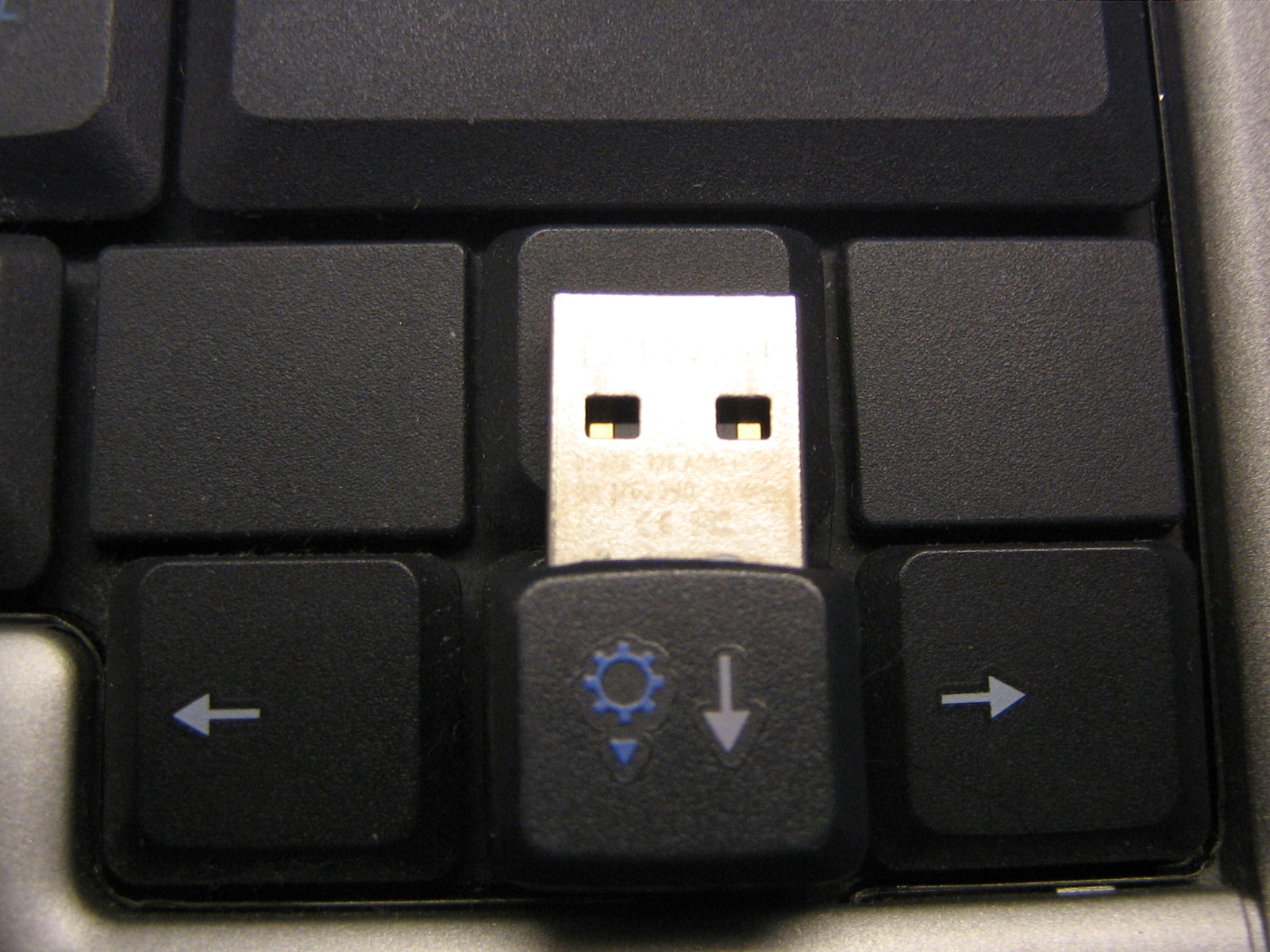 USB 008.jpg