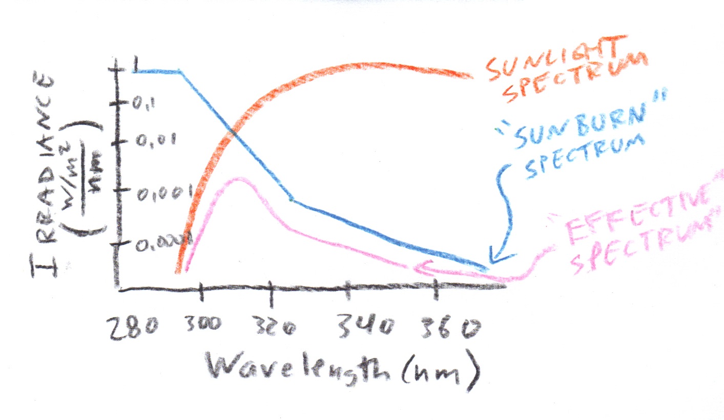 UV Index Weight.jpg