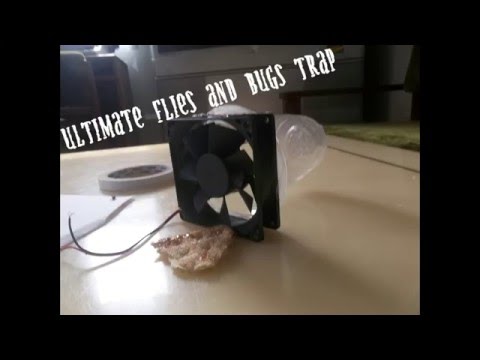 Ultimate flies and bugs trap, How to make flies trap