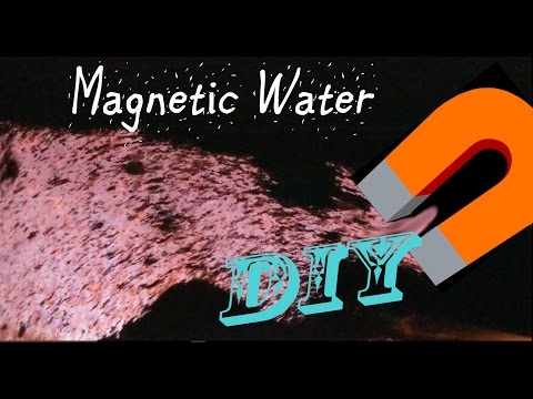 Unbelievable Magnetic Water DIY | Galaxy in a Bottle?! Amazing Science