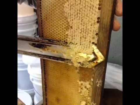 Uncapping Honey Frames #2