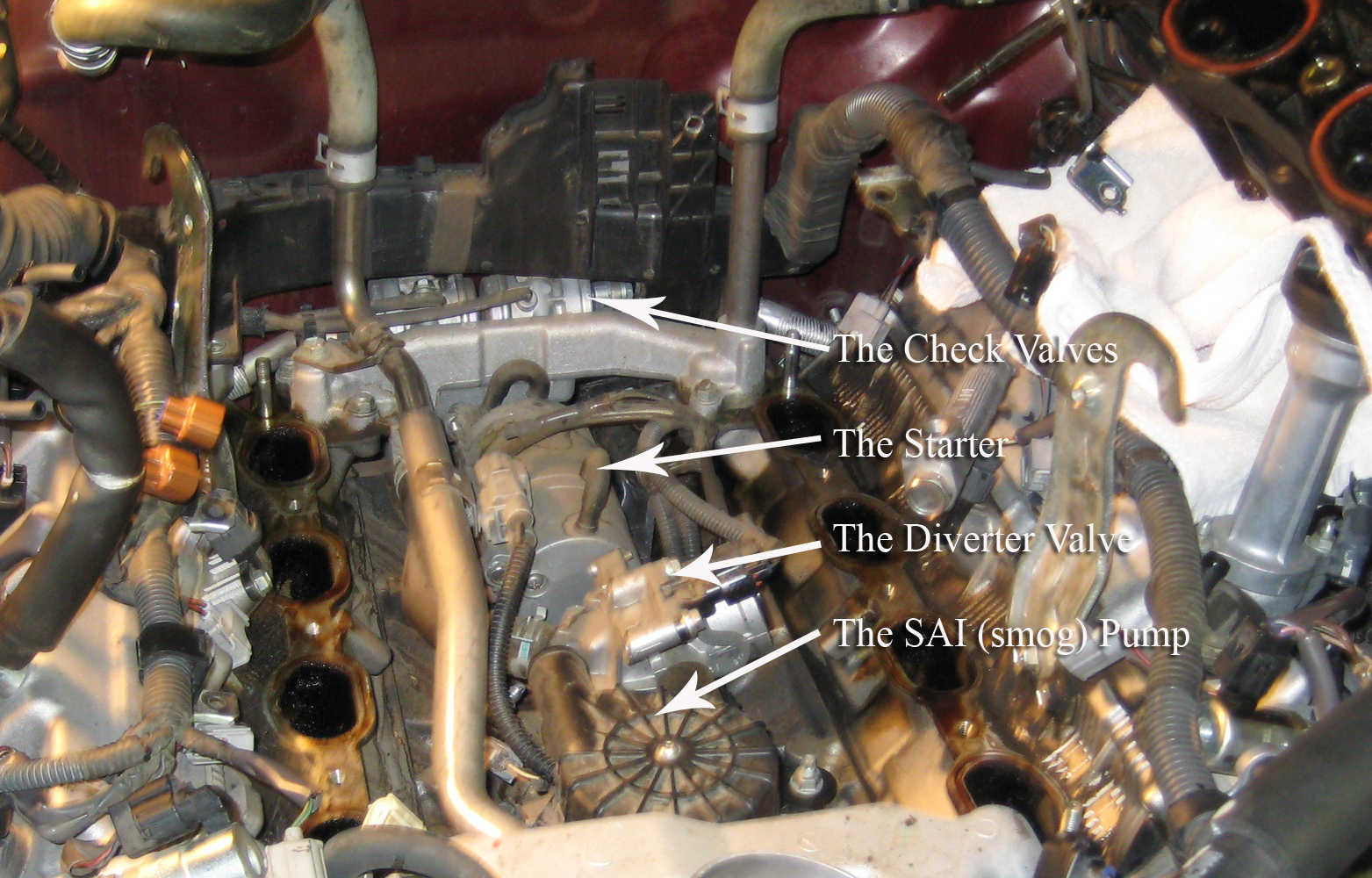 Under the Intake Manifold.jpg