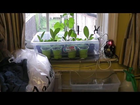 Update: Arduino plant watering system