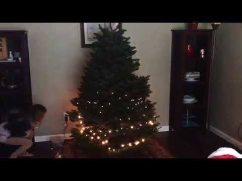 VU Christmas tree