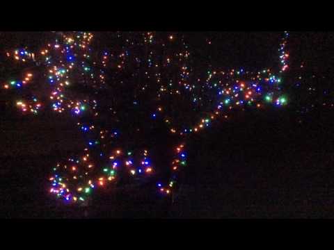 Variable intensity 110V LED Christmas lights with MSGEQ7 and Arduino