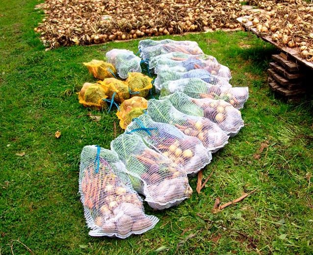 Veg bags 2.jpg