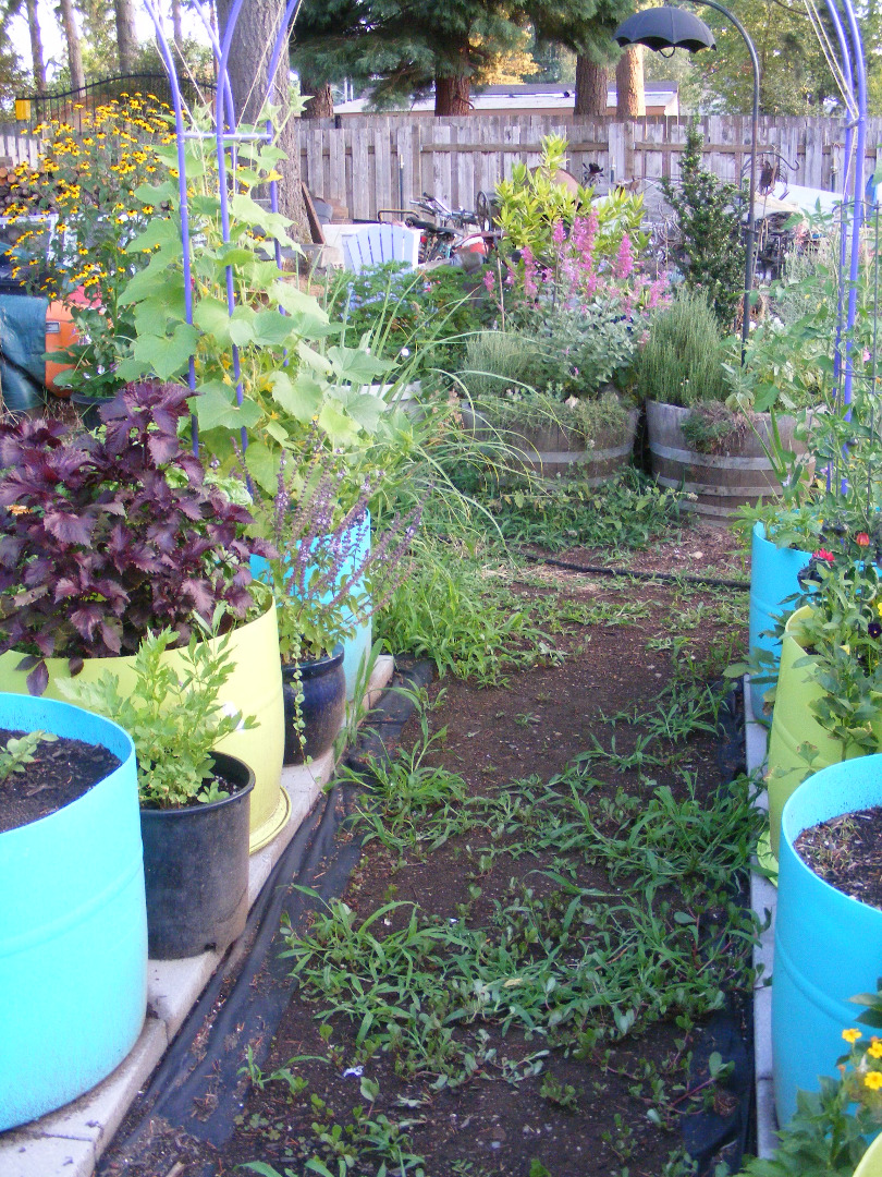 Veggie Pots and Herb Garden view.jpg