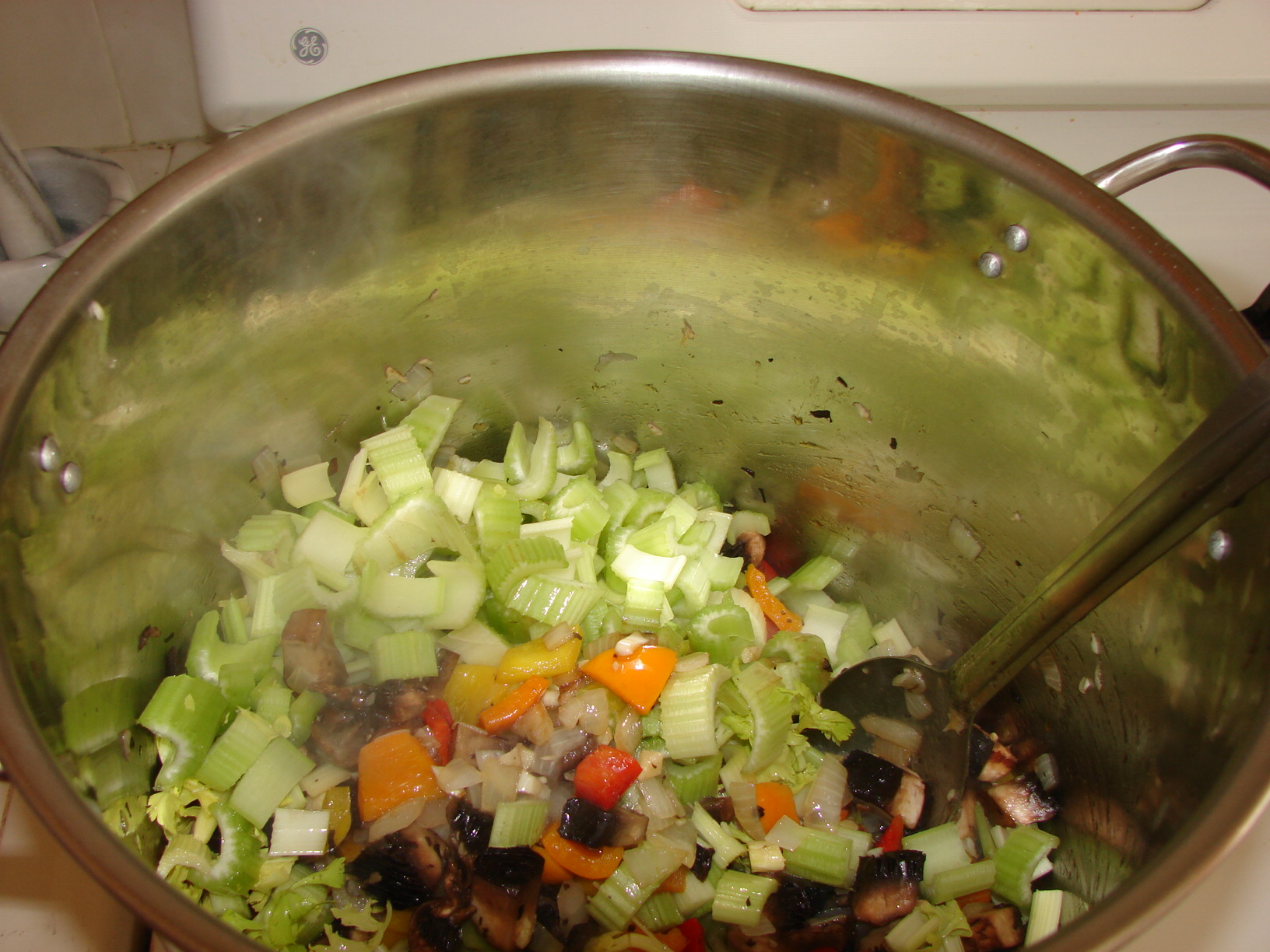 Veggie Stock 011.JPG