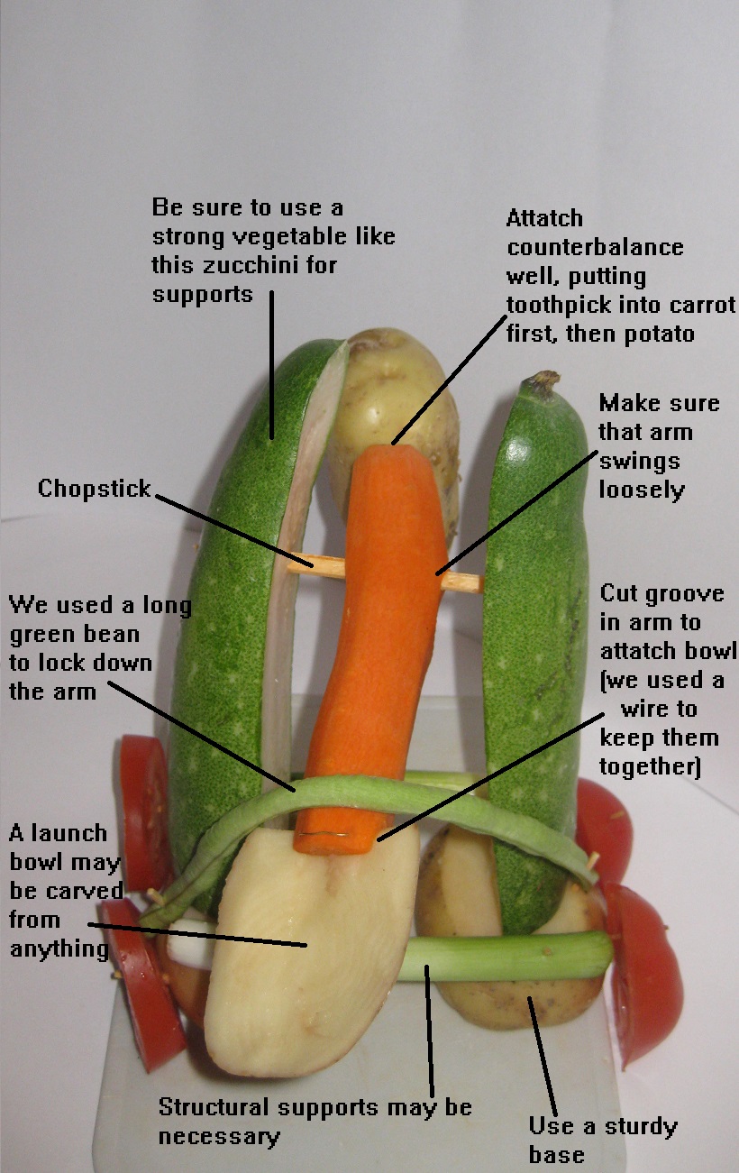 Vegtapult Insructions.jpg