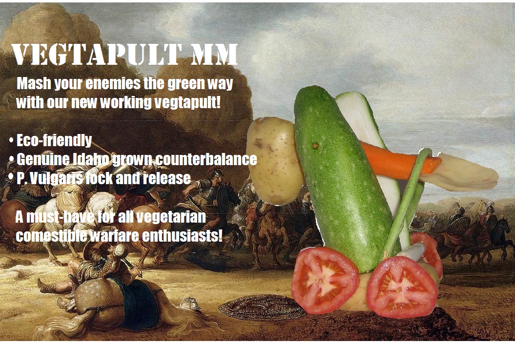 Vegtapult MM.jpg