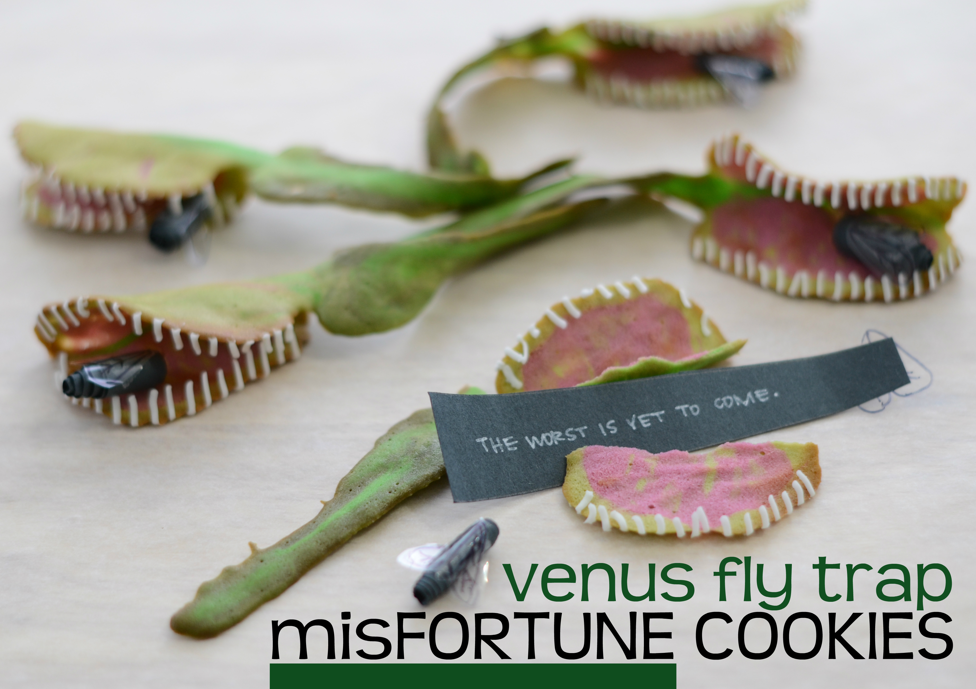 Venus Fly Trap misFortune Cookies.jpg