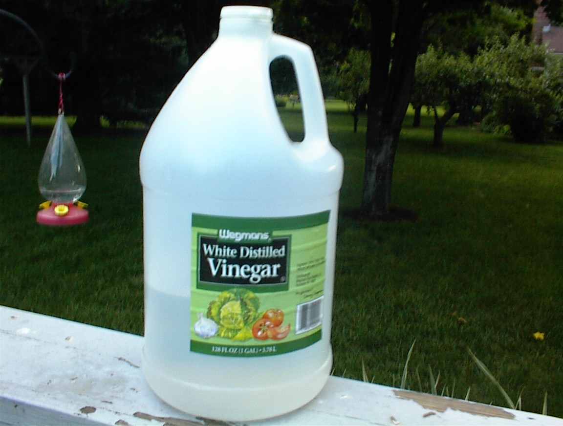 Vinegar.JPG