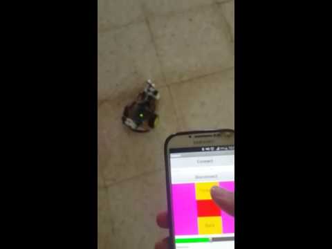 Voice controlled robot