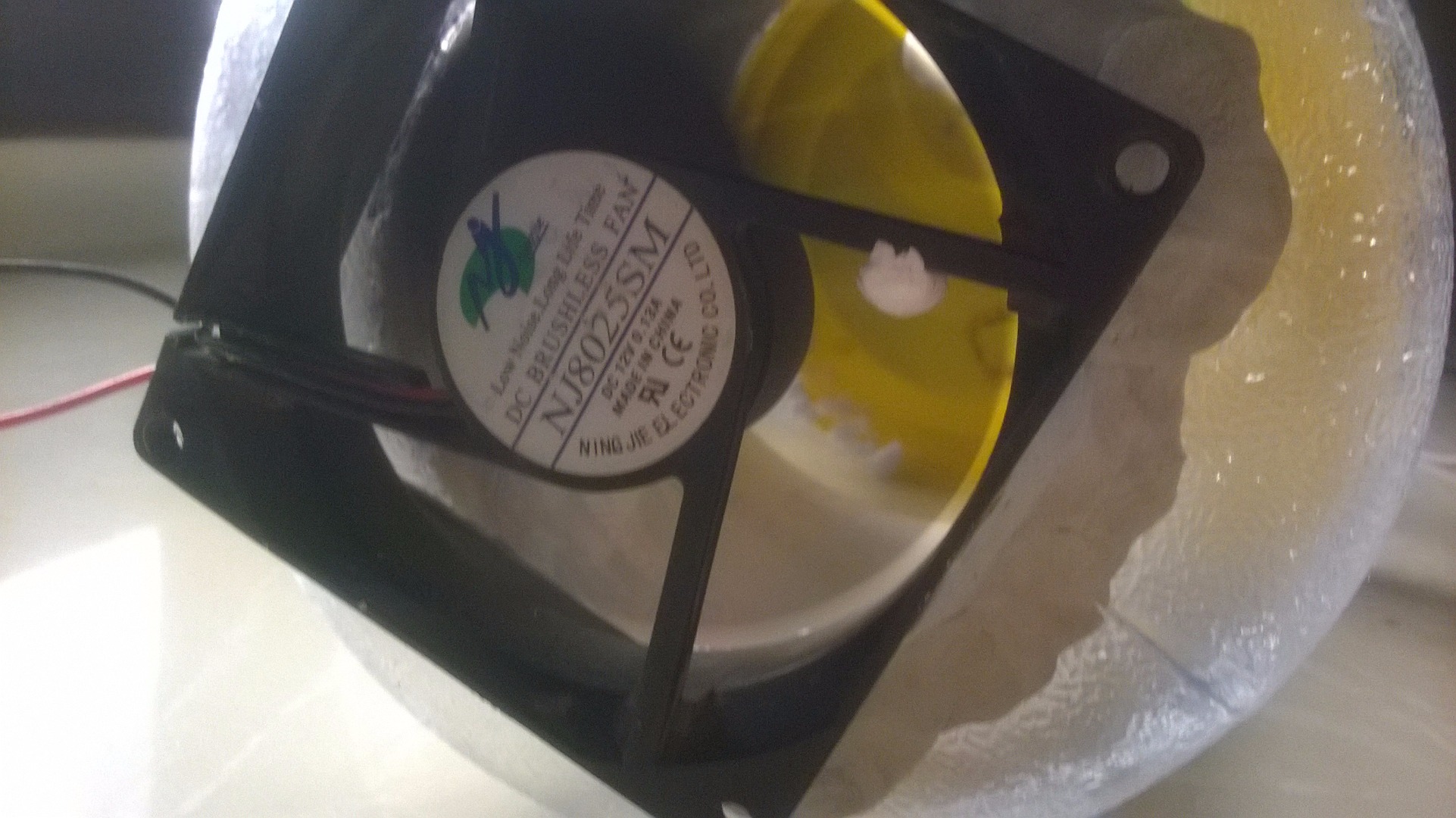 WP_20150401_007.jpg