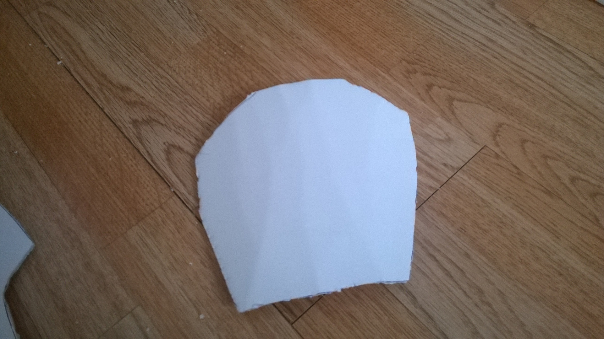 WP_20150420_002.jpg
