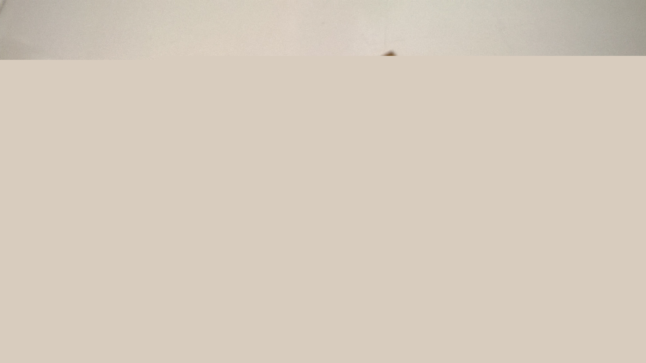 WP_20151111_022.jpg