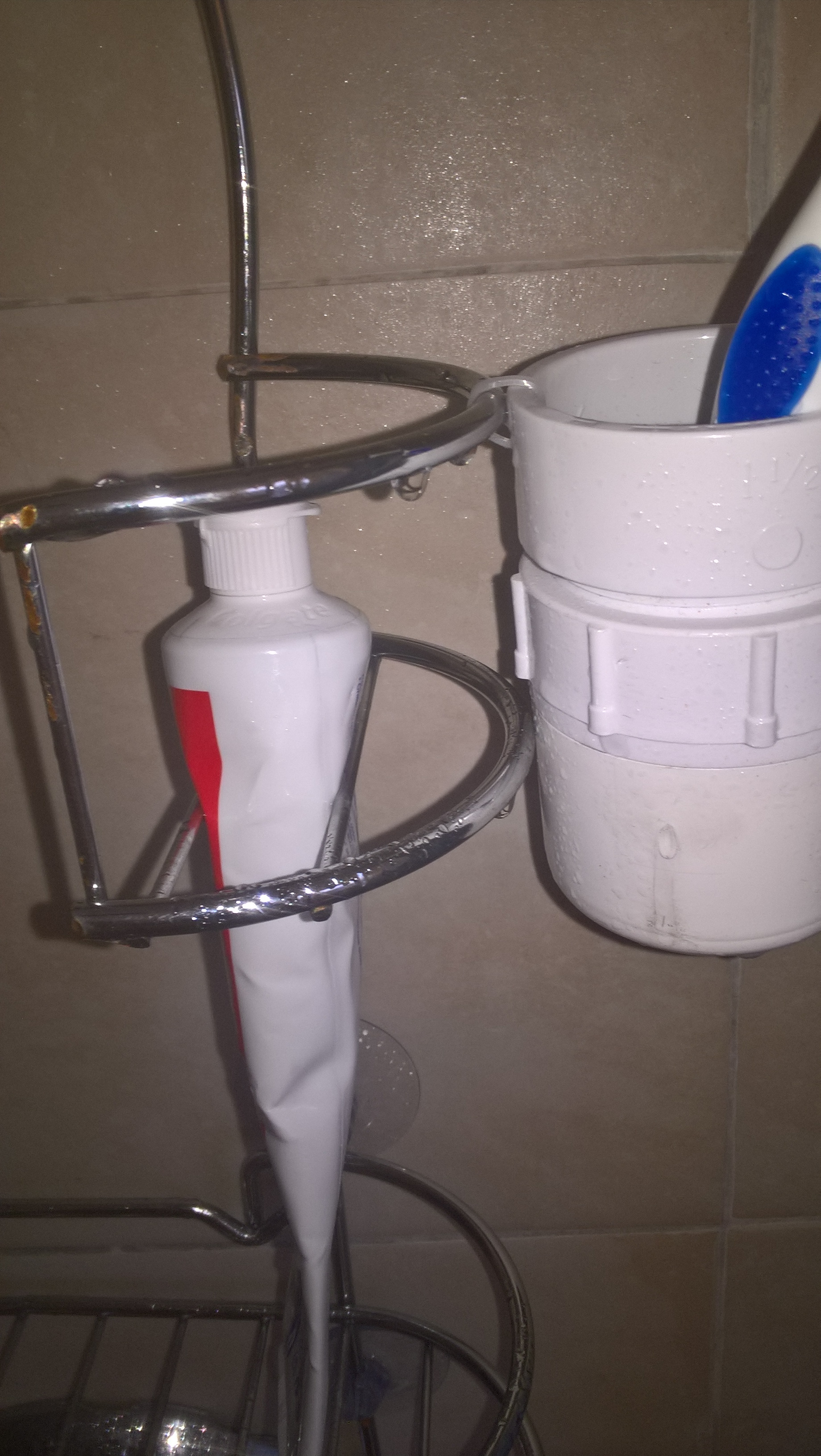 WP_20180310_11_18_54_Pro.jpg