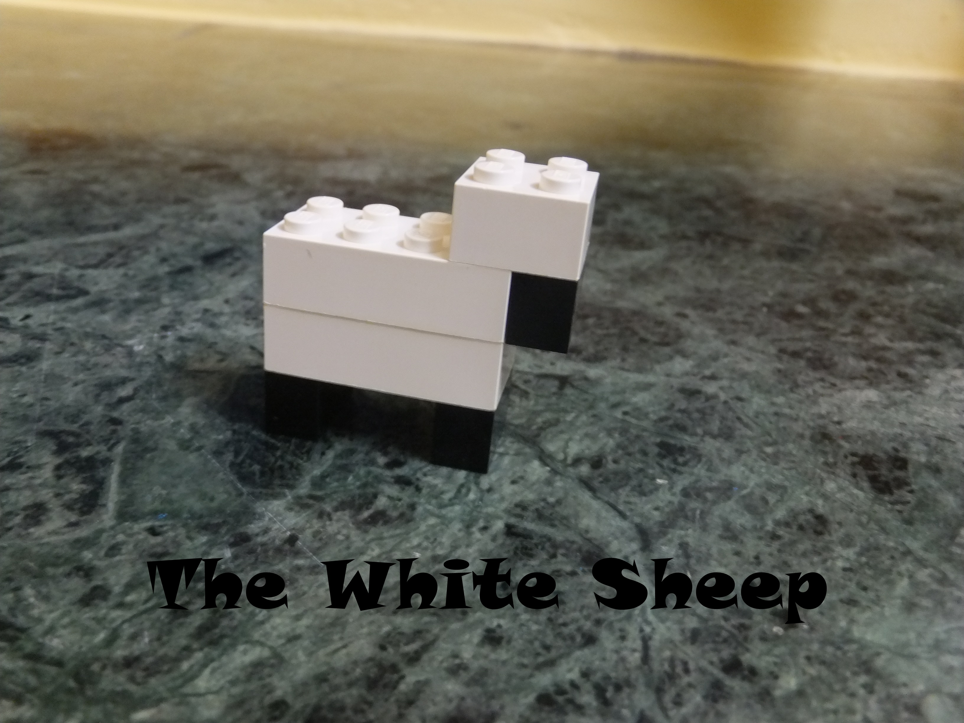 WS Cover.JPG