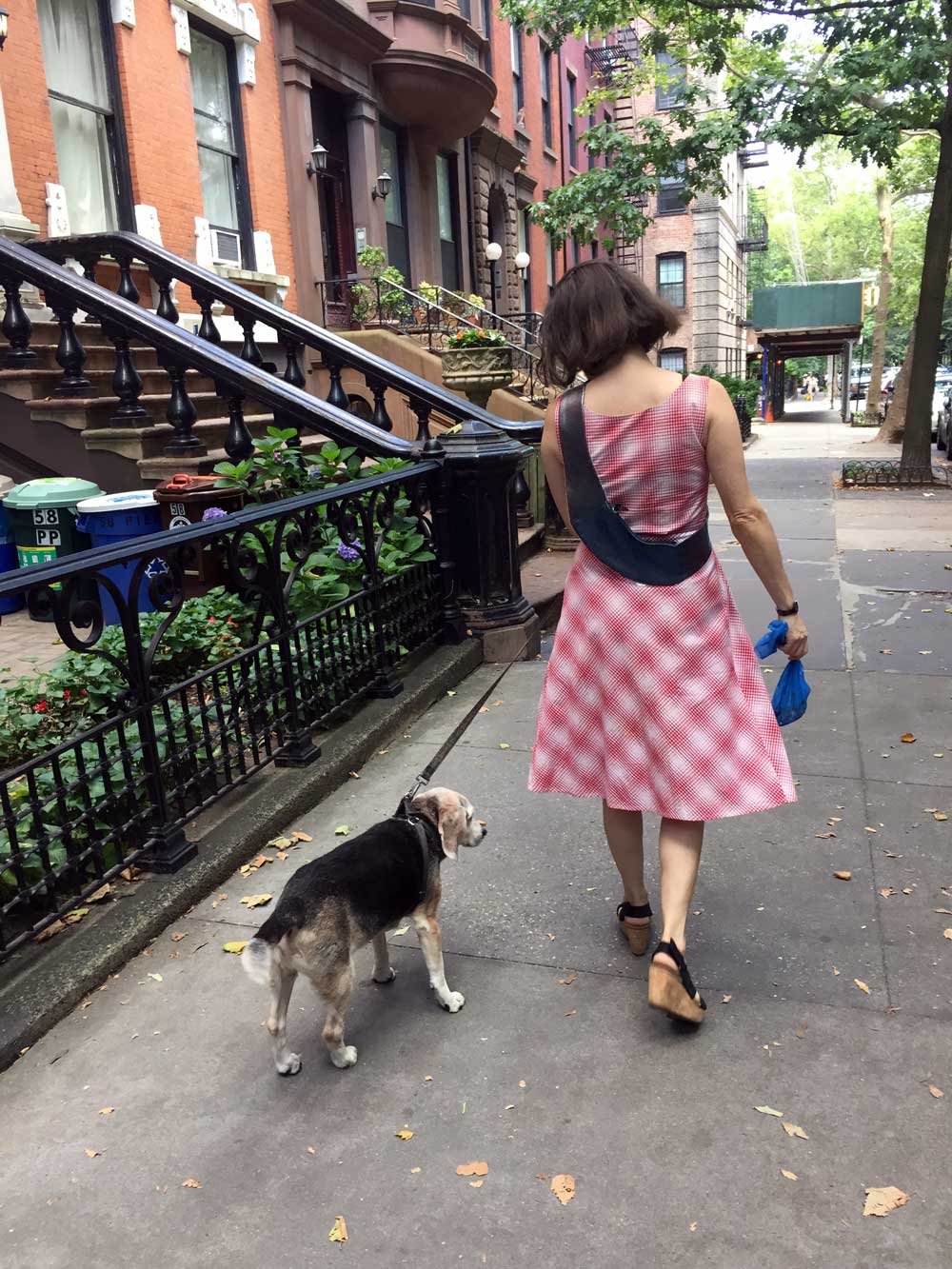 Walking-dog-with-purse.jpg