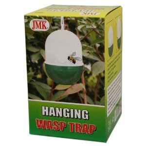 Wasp Trap.jpg