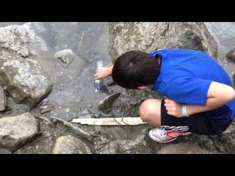 Water sampling in Le Yun Mun