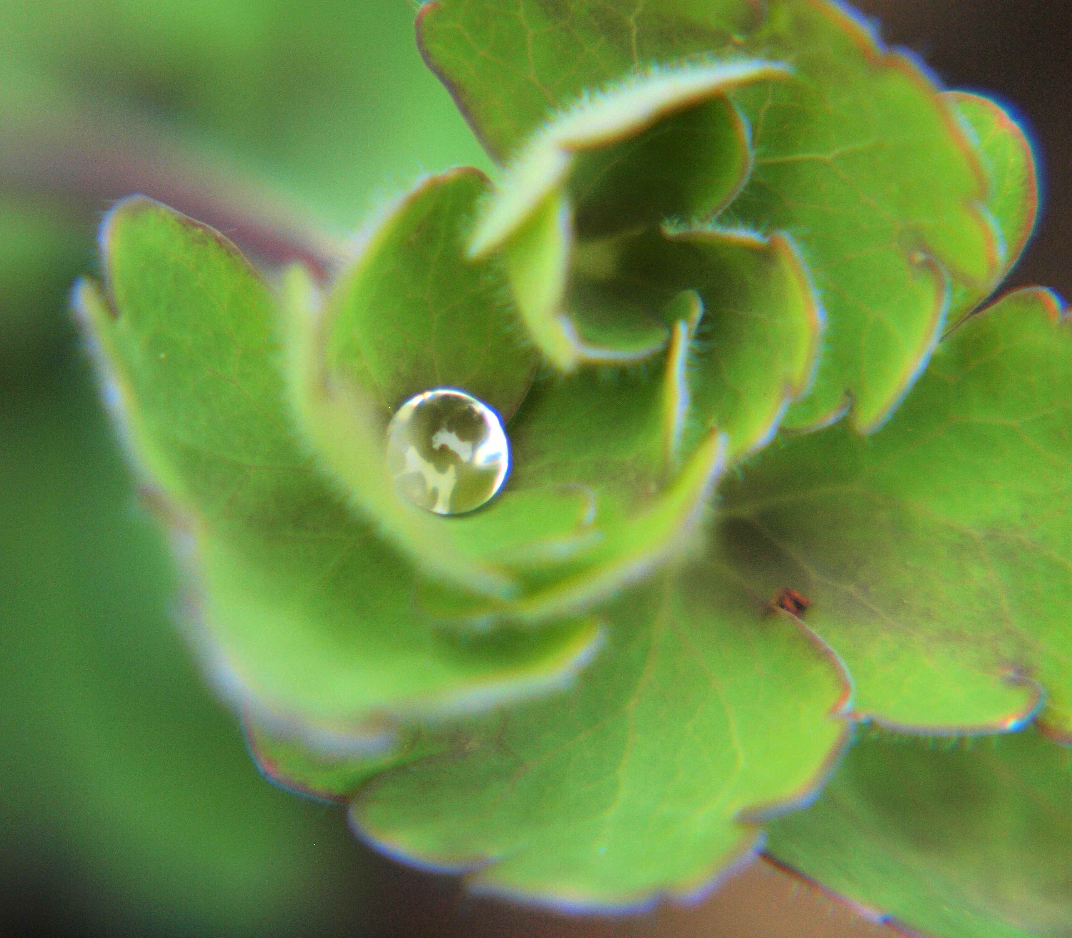 WaterDrop2.jpg