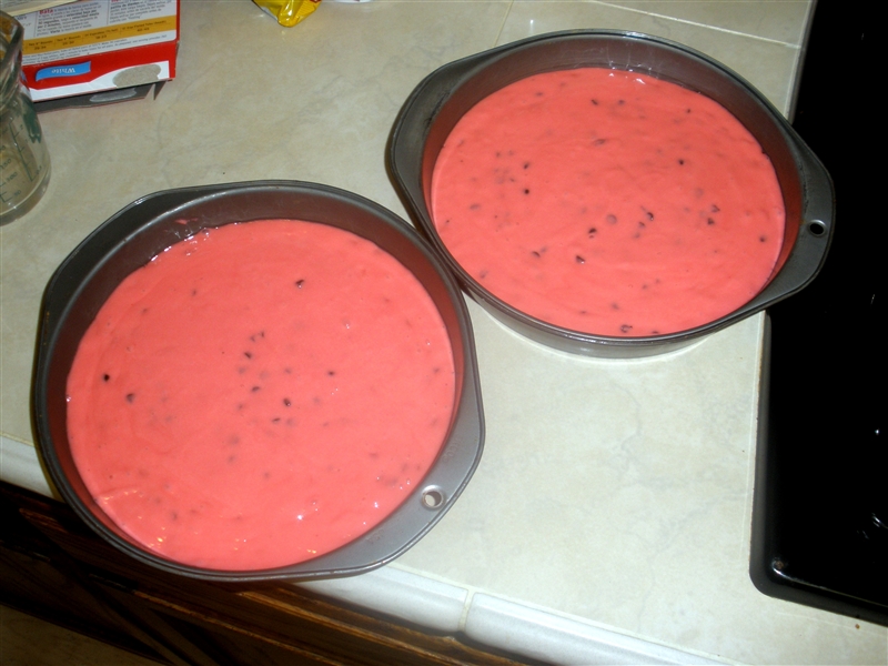 Watermelon Cake_0034.jpg