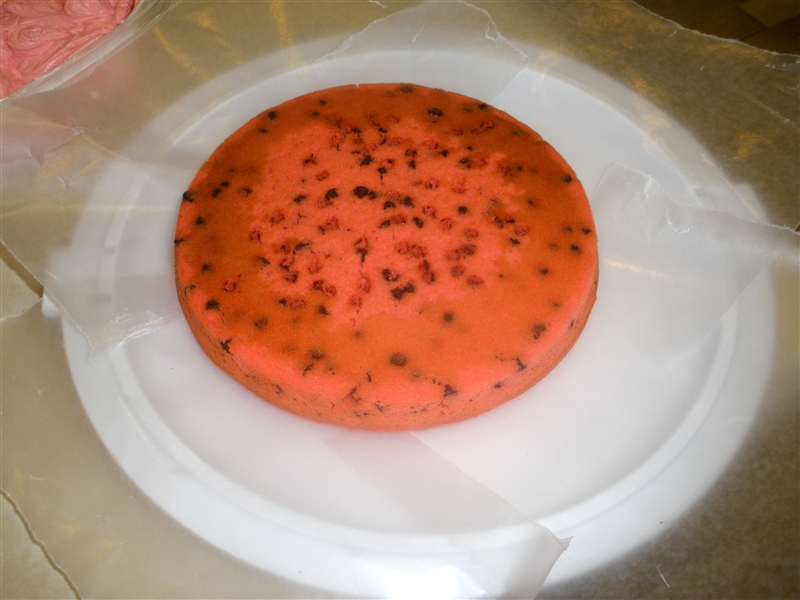 Watermelon Cake_0056.jpg