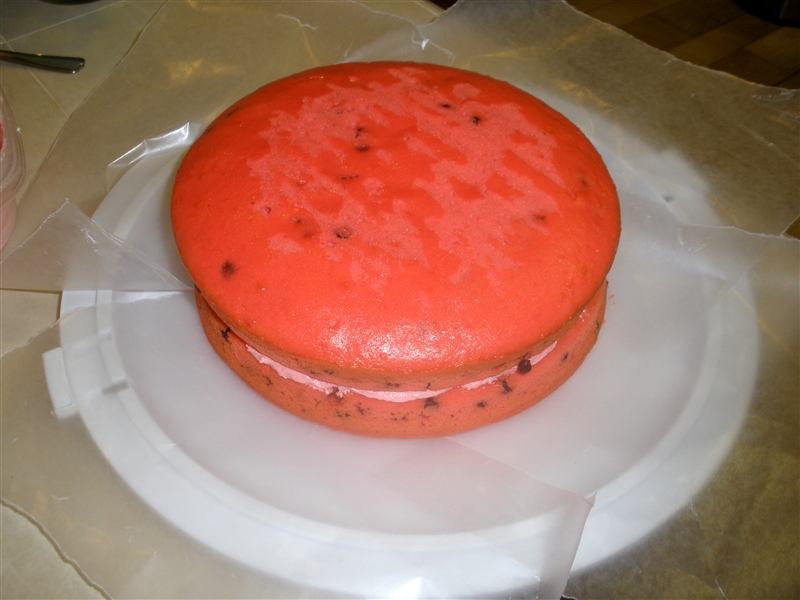 Watermelon Cake_0060.jpg