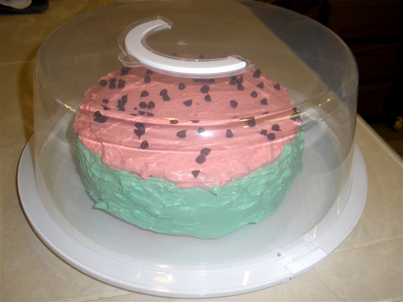 Watermelon Cake_0080.jpg