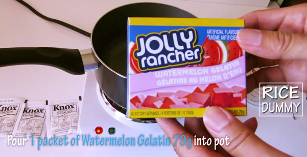 Watermelon_jello_gummy_3-2.jpg