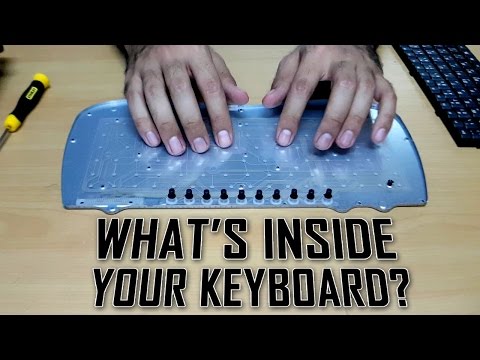 What's inside your keyboard?