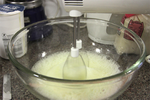 Whisk 1.jpg