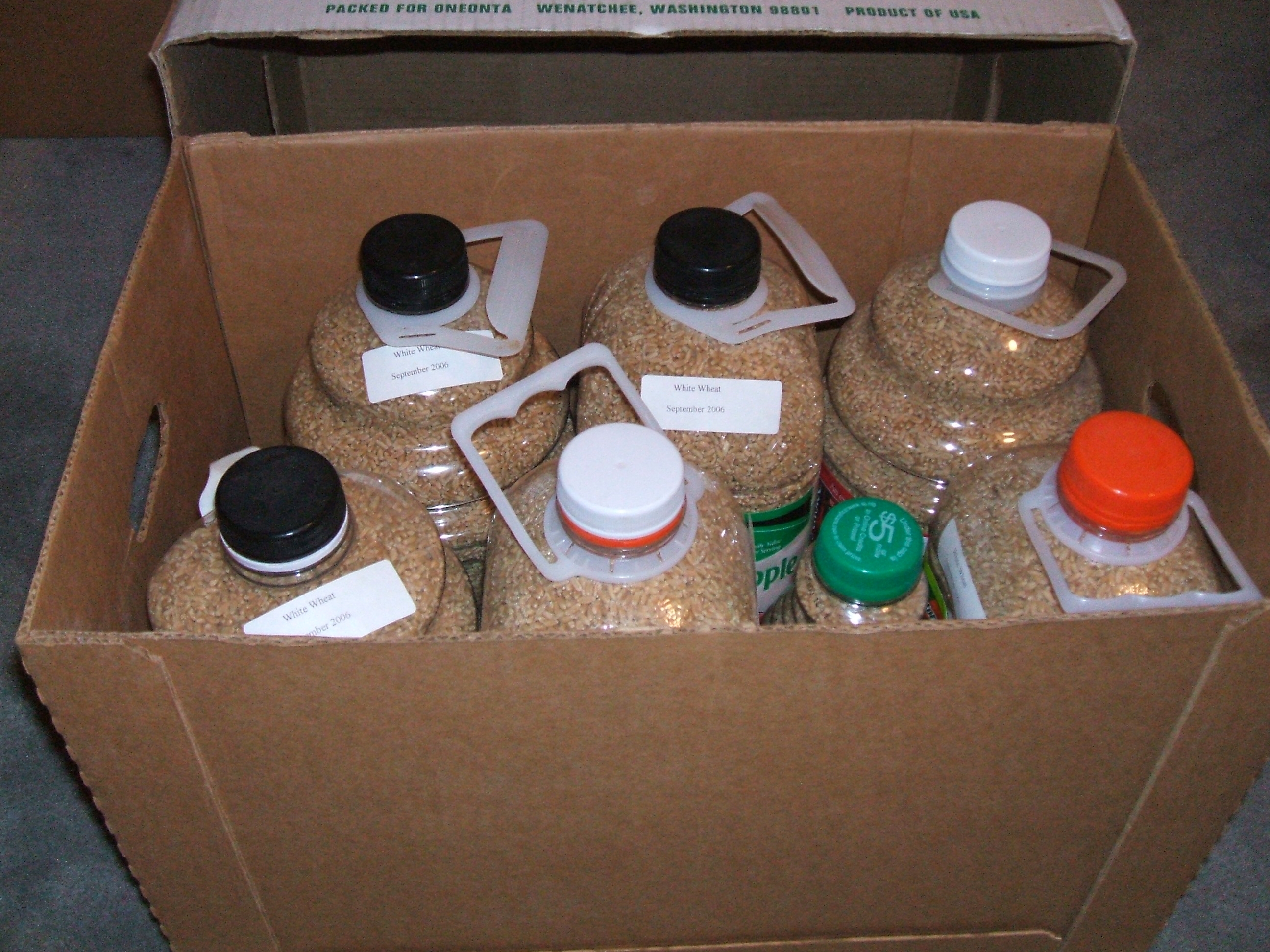 White Wheat PETE bottles srored in fruit box.JPG