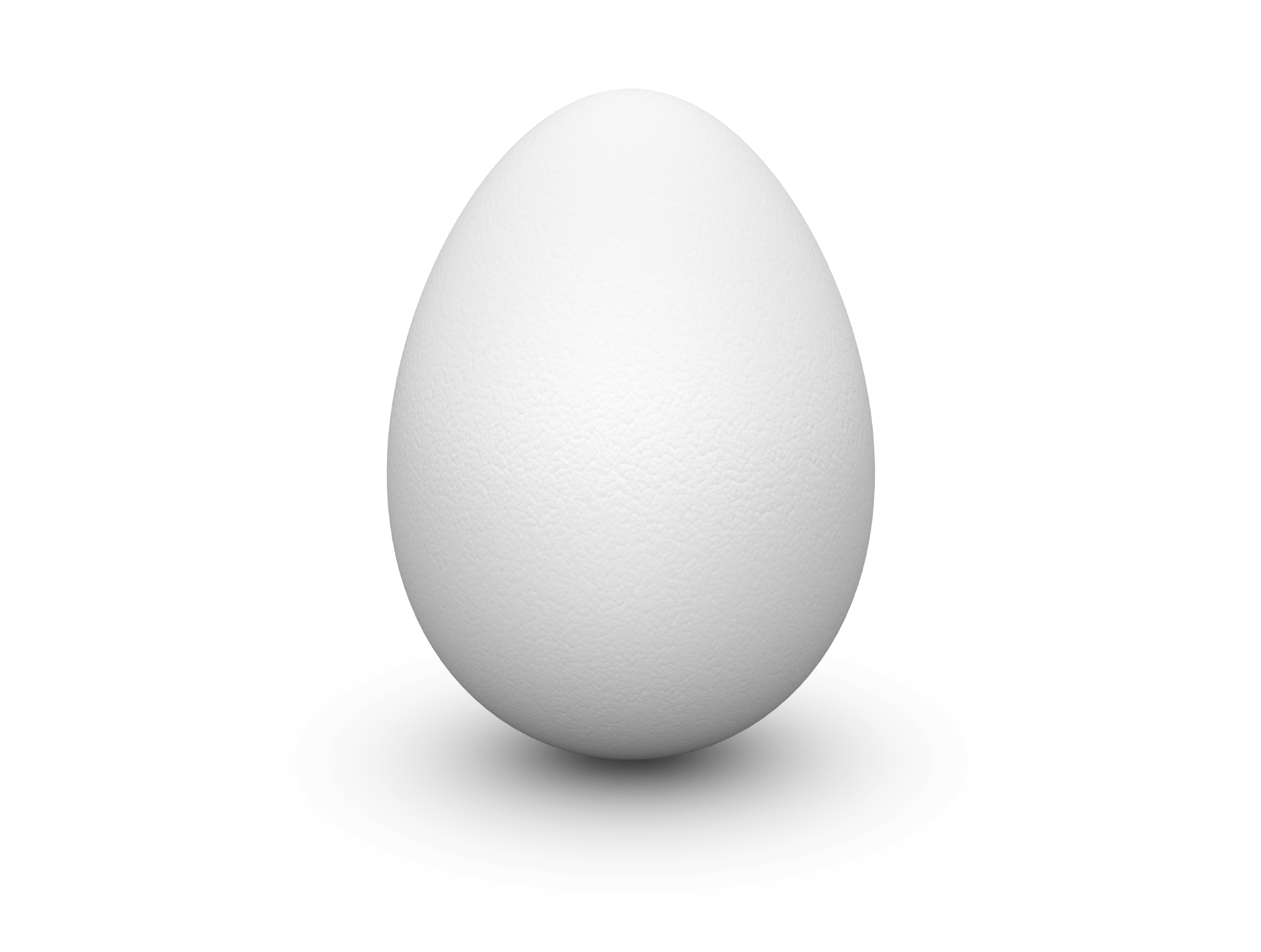 White-Egg.jpg