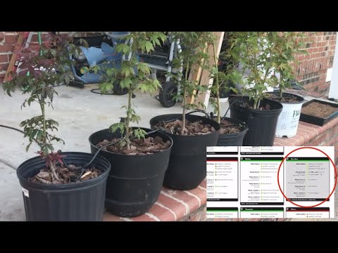 WiFi Reservoir to Water Plants Automatically - Automatic Plant Feeder Monitors Cultivation Remotely