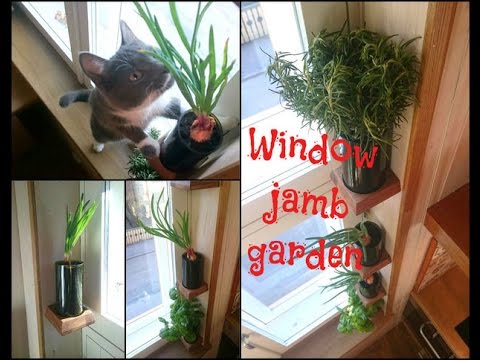 Window jamb garden