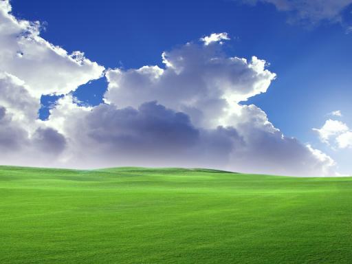 Windows-Xp-Background-512X384-1858.jpg