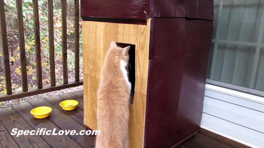 Winter Cat House 01.jpg