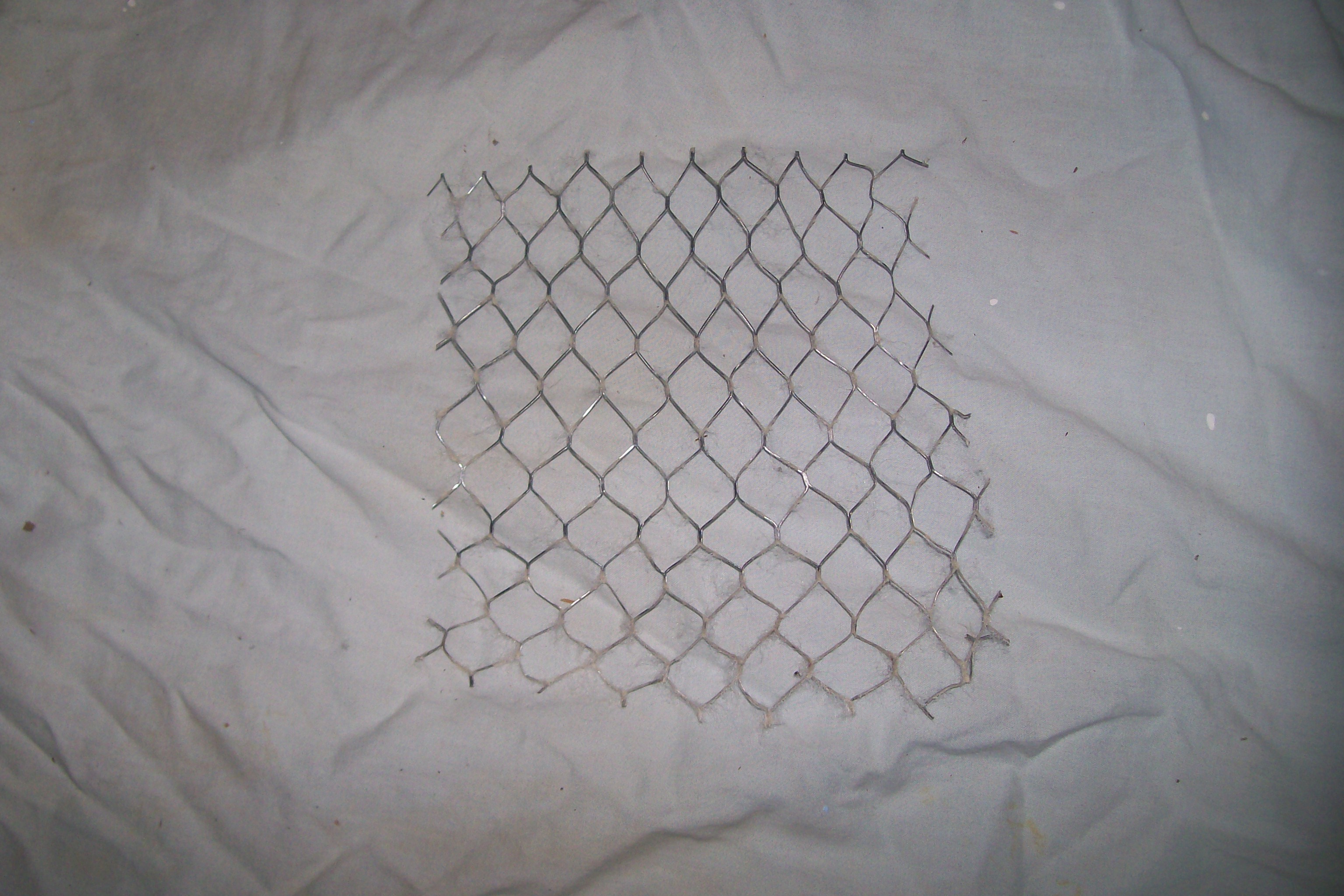 Wire Mesh.JPG