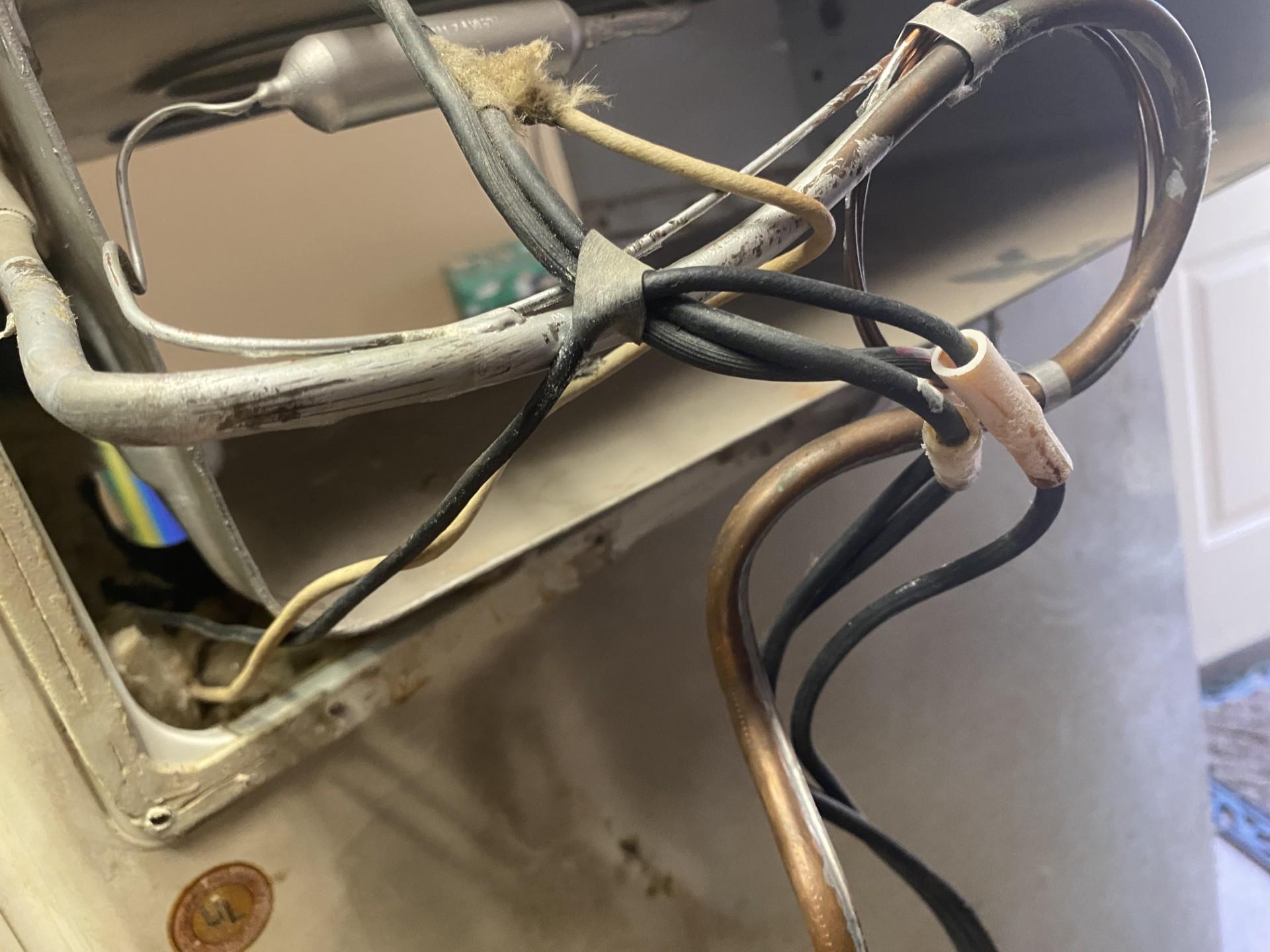 Wiring Harness.jpg