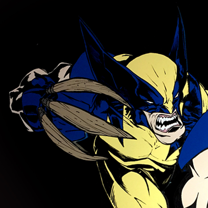 Wolverine Matusda Imgur Cover copy.jpg