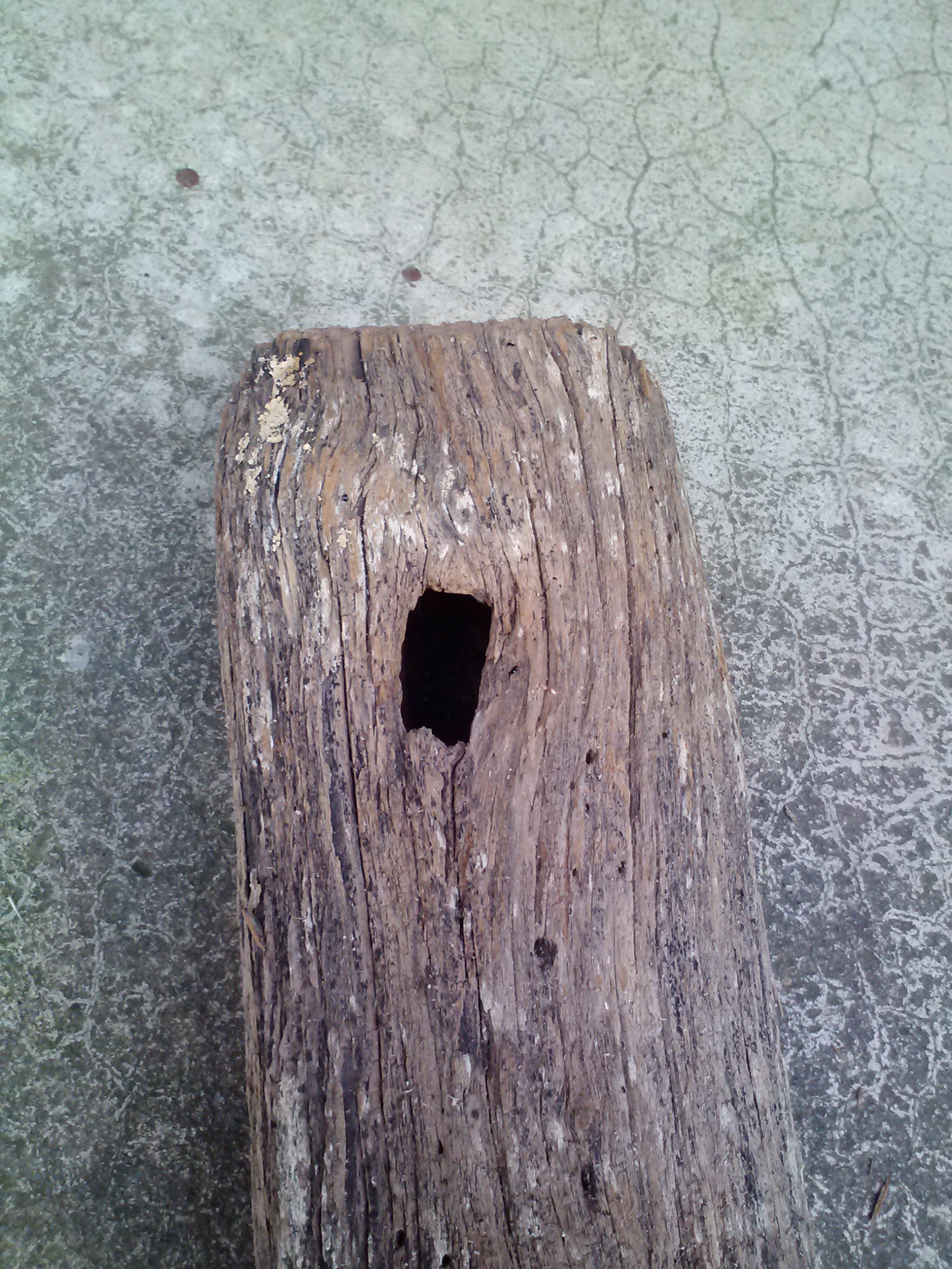 Wood post side.jpg