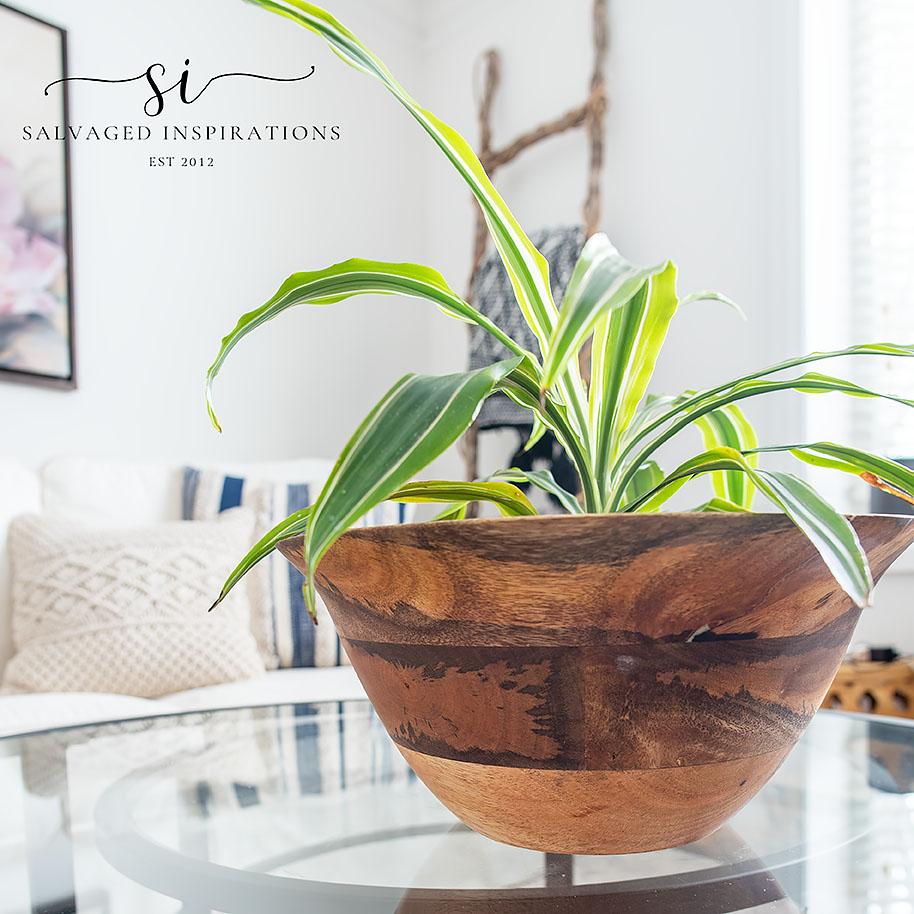 Wood-Bowl-with-Plant.jpg