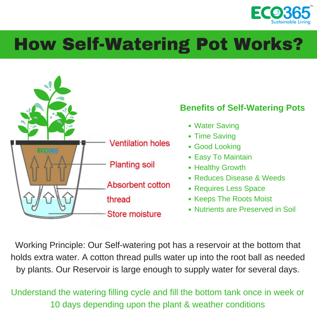 Worried_With_Water_Crisis-Get_Free_Consulting_to_Save_Wate_1024x1024.png