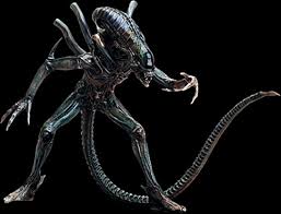 Xenomorph.jpe