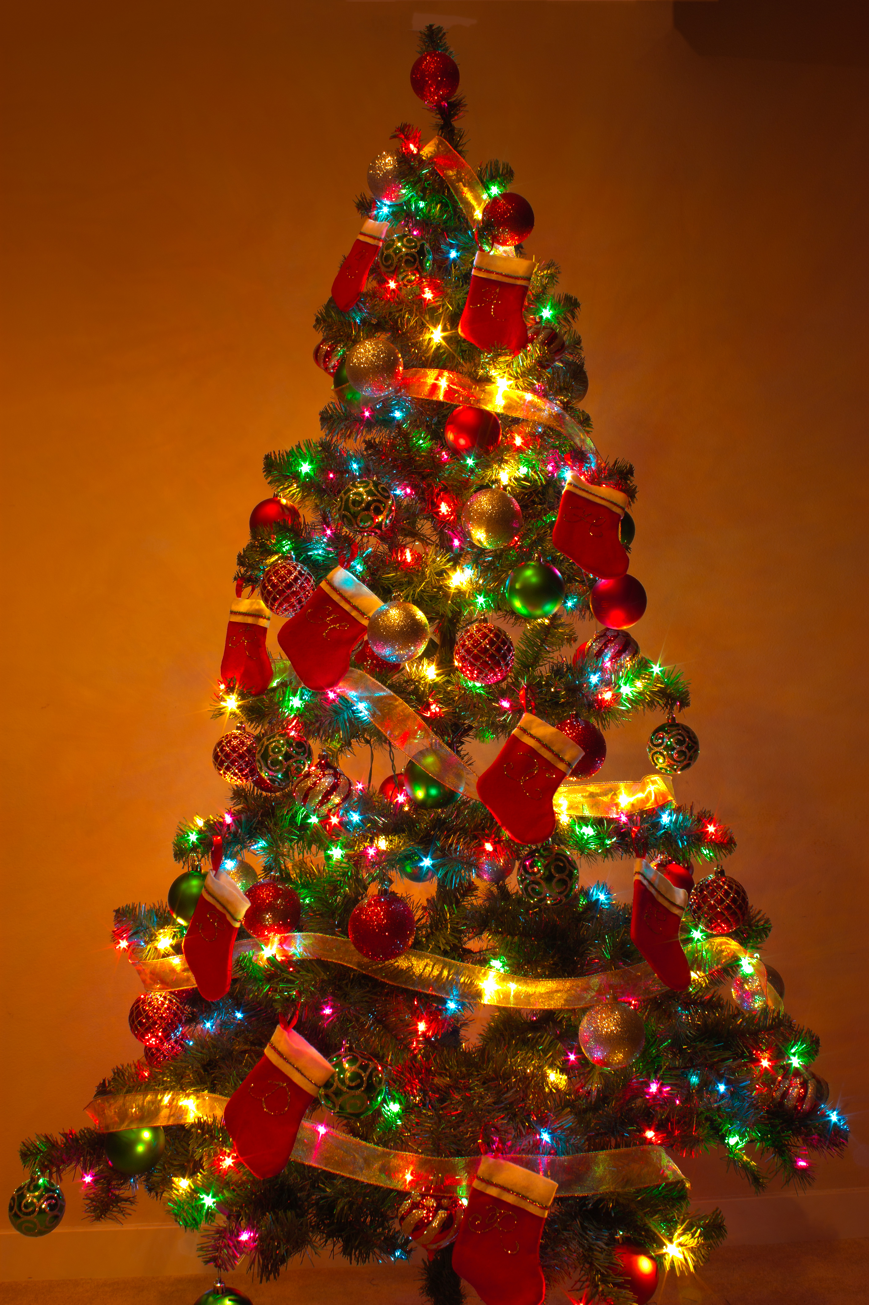 Y_Christmas_Tree_2.jpg