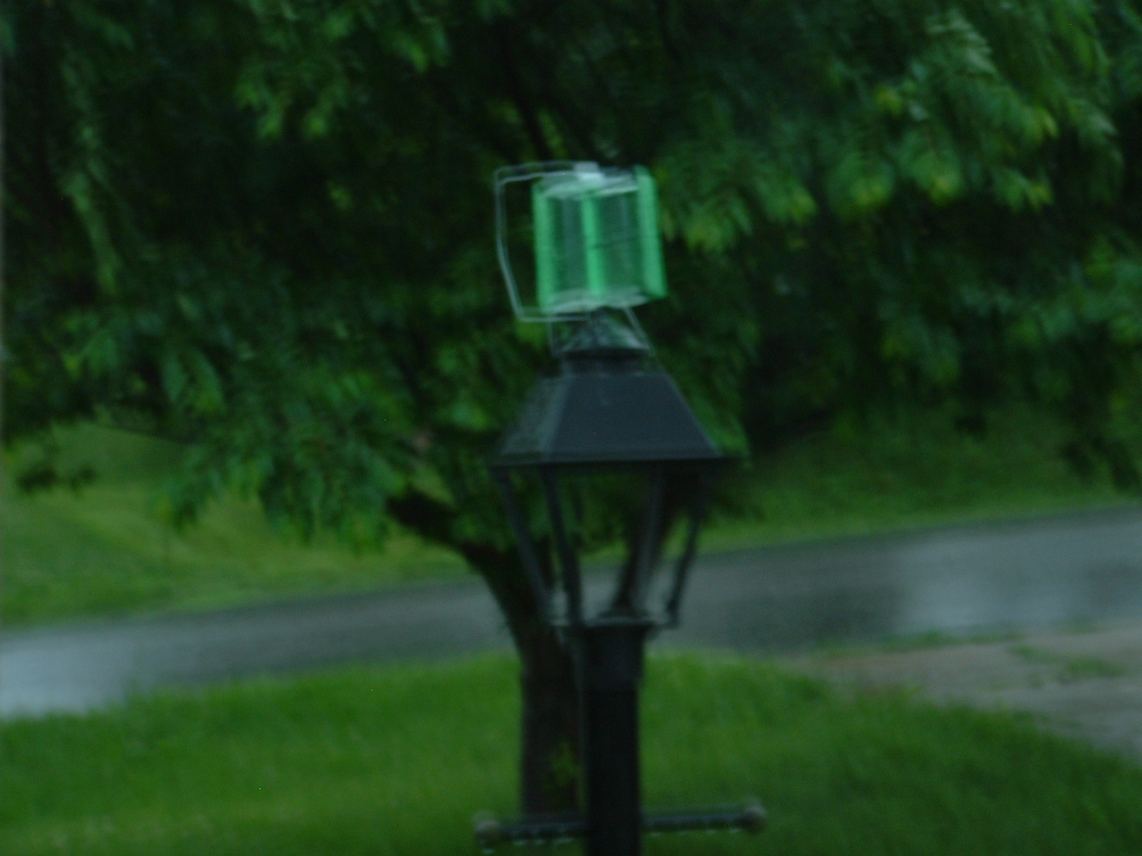 Yard Light 049.jpg