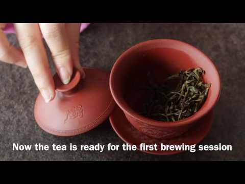 Yixing Gaiwan Brewing Fenghuang Dancong Oolong Tea - Dancong Tea