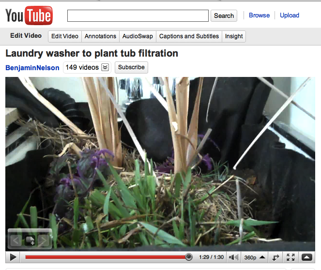 YouTube_greywater_marshplants.png